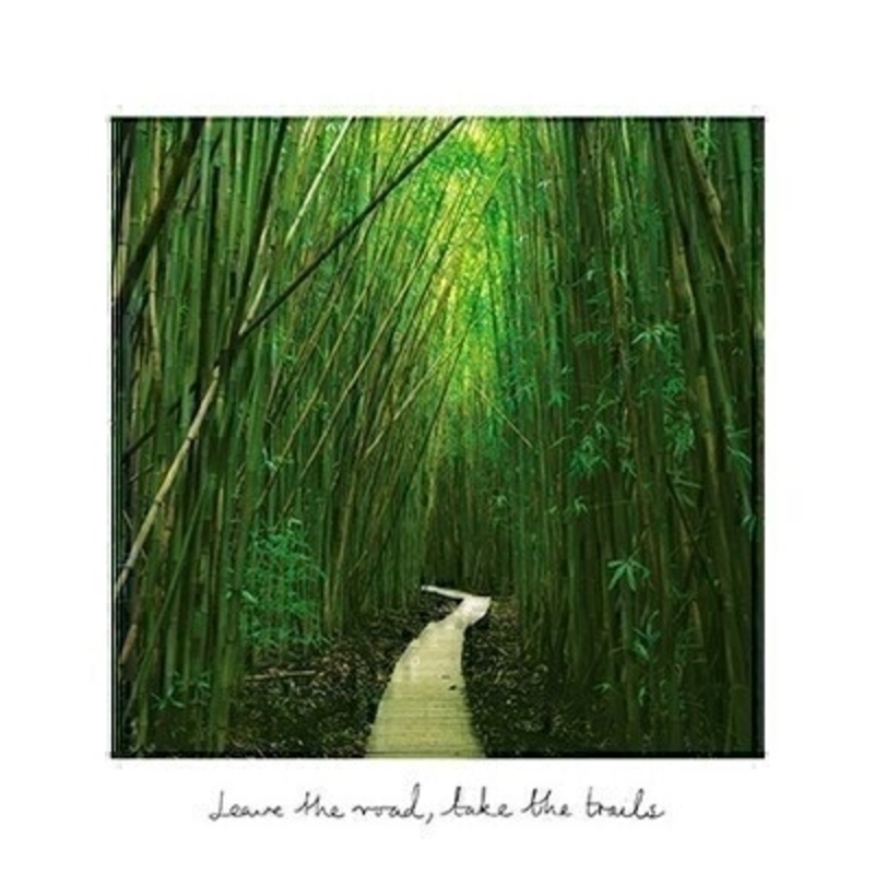 Bamboo Forest Blank Greetings Card By Paper Rose